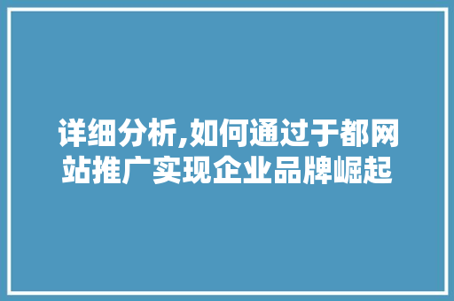 详细分析,如何通过于都网站推广实现企业品牌崛起 网站建设公司
