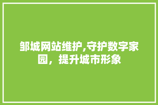 邹城网站维护,守护数字家园，提升城市形象