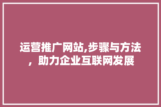 运营推广网站,步骤与方法，助力企业互联网发展 搜狗SEO