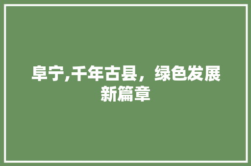 阜宁,千年古县，绿色发展新篇章 网站建设公司