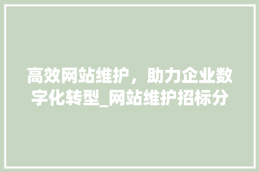 高效网站维护，助力企业数字化转型_网站维护招标分析