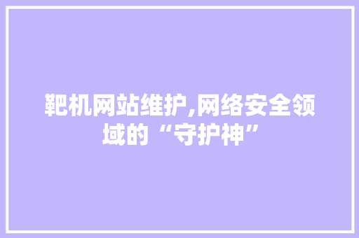 靶机网站维护,网络安全领域的“守护神”