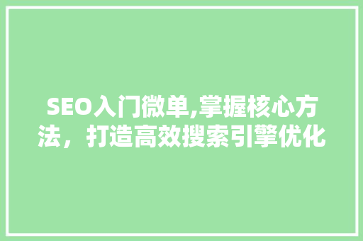 SEO入门微单,掌握核心方法，打造高效搜索引擎优化步骤