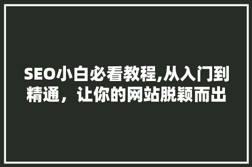 SEO小白必看教程,从入门到精通，让你的网站脱颖而出 搜狗SEO