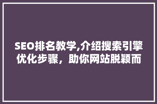 SEO排名教学,介绍搜索引擎优化步骤，助你网站脱颖而出