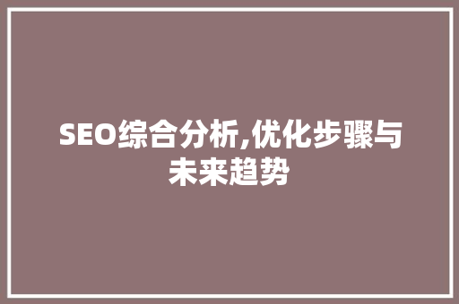 SEO综合分析,优化步骤与未来趋势