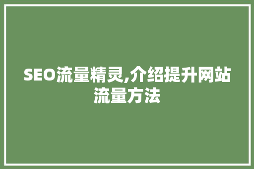SEO流量精灵,介绍提升网站流量方法