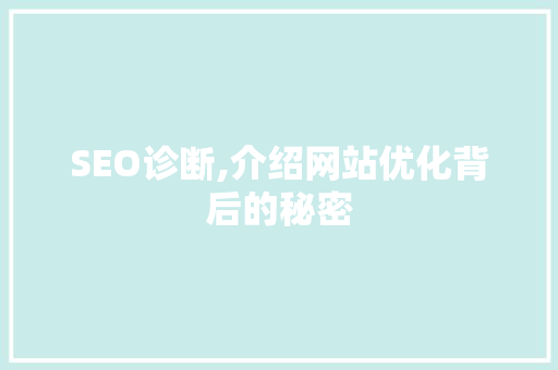 SEO诊断,介绍网站优化背后的秘密