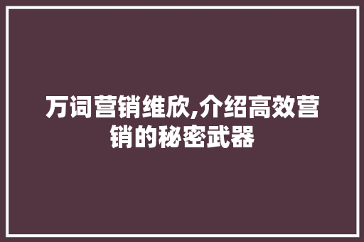 万词营销维欣,介绍高效营销的秘密武器