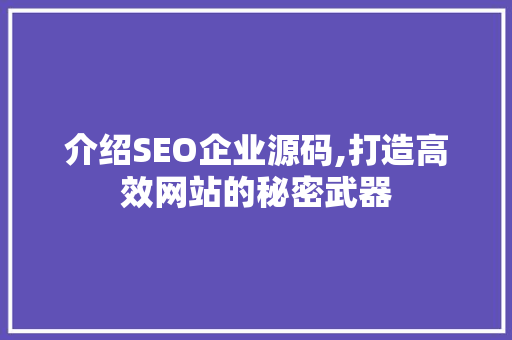 介绍SEO企业源码,打造高效网站的秘密武器