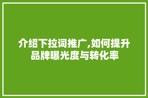 介绍下拉词推广,如何提升品牌曝光度与转化率 神马SEO
