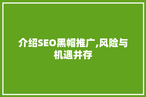 介绍SEO黑帽推广,风险与机遇并存