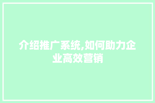 介绍推广系统,如何助力企业高效营销