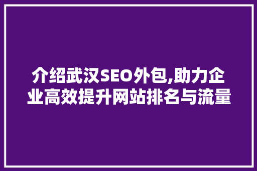 介绍武汉SEO外包,助力企业高效提升网站排名与流量