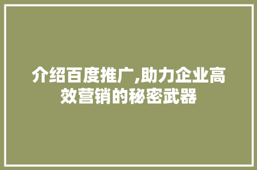 介绍百度推广,助力企业高效营销的秘密武器 SEO关键词