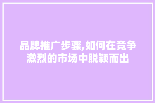 品牌推广步骤,如何在竞争激烈的市场中脱颖而出