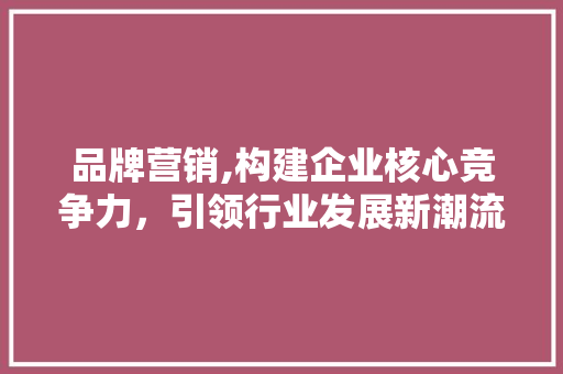 品牌营销,构建企业核心竞争力，引领行业发展新潮流