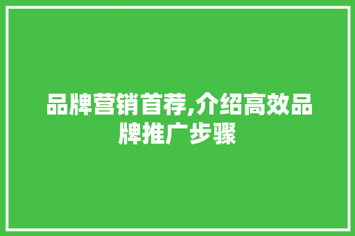 品牌营销首荐,介绍高效品牌推广步骤