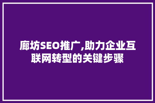 廊坊SEO推广,助力企业互联网转型的关键步骤