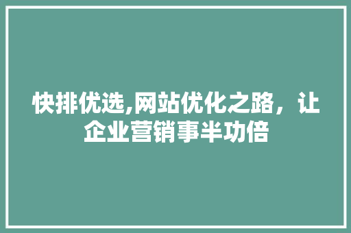 快排优选,网站优化之路，让企业营销事半功倍