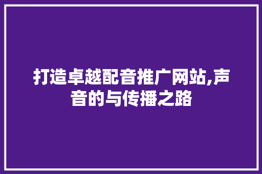打造卓越配音推广网站,声音的与传播之路 网站建设公司