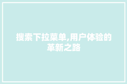 搜索下拉菜单,用户体验的革新之路