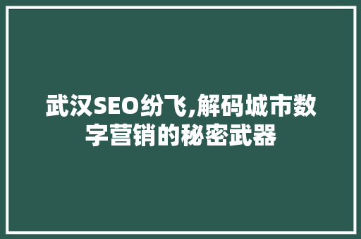 武汉SEO纷飞,解码城市数字营销的秘密武器