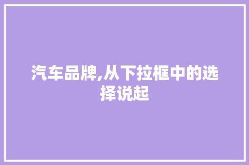 汽车品牌,从下拉框中的选择说起 SEO关键词