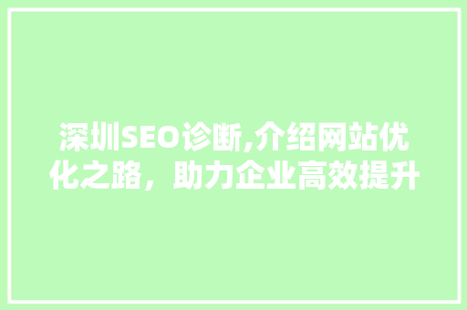 深圳SEO诊断,介绍网站优化之路，助力企业高效提升排名