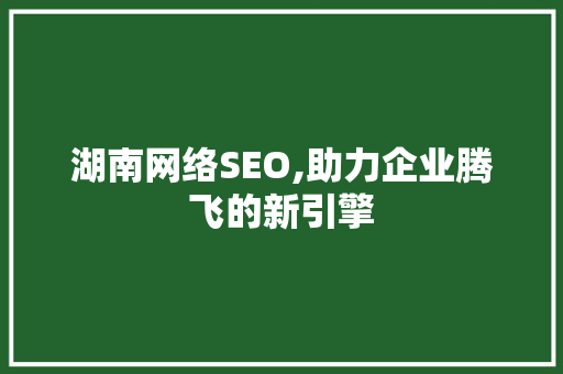 湖南网络SEO,助力企业腾飞的新引擎