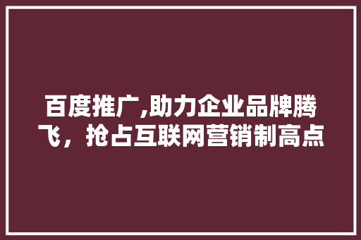 百度推广,助力企业品牌腾飞，抢占互联网营销制高点