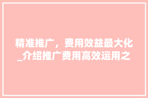 精准推广，费用效益最大化_介绍推广费用高效运用之路