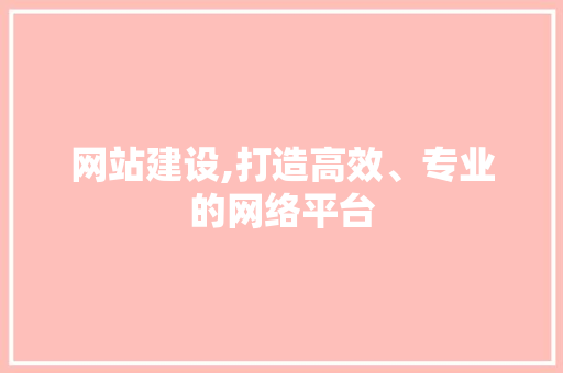 网站建设,打造高效、专业的网络平台