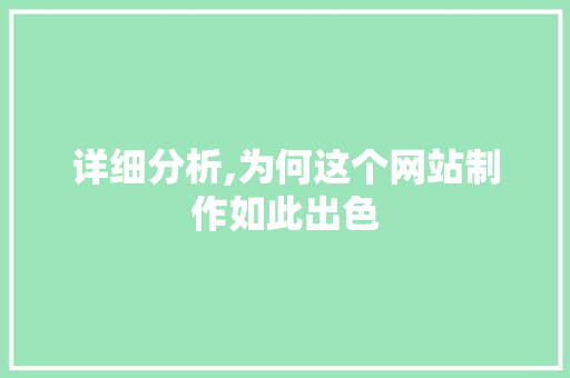 详细分析,为何这个网站制作如此出色