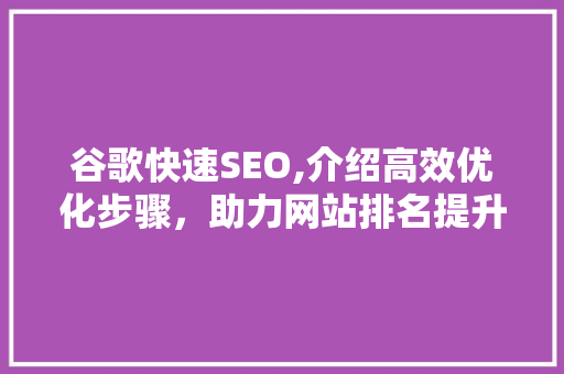 谷歌快速SEO,介绍高效优化步骤，助力网站排名提升 网站建设公司
