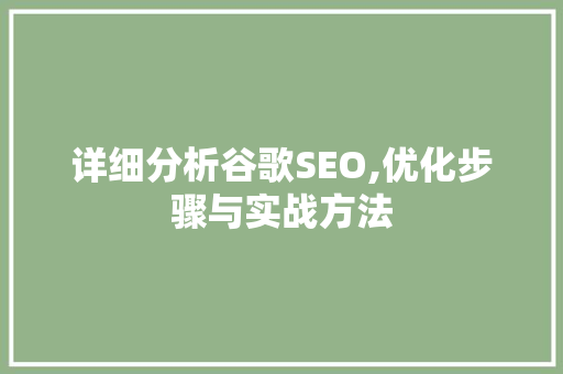 详细分析谷歌SEO,优化步骤与实战方法