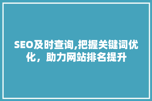 SEO及时查询,把握关键词优化，助力网站排名提升