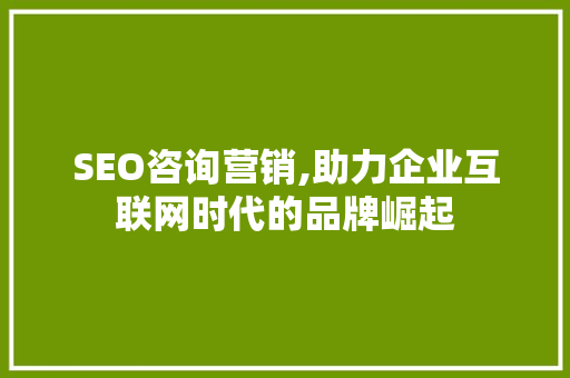 SEO咨询营销,助力企业互联网时代的品牌崛起