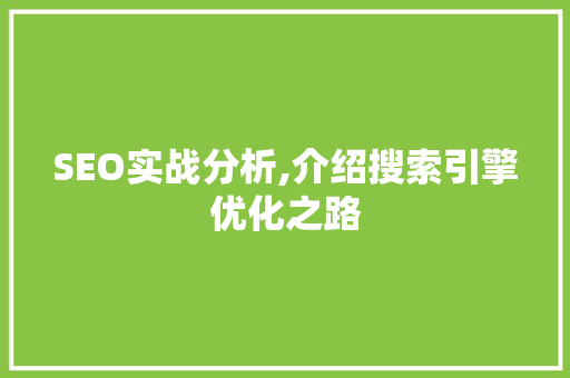 SEO实战分析,介绍搜索引擎优化之路