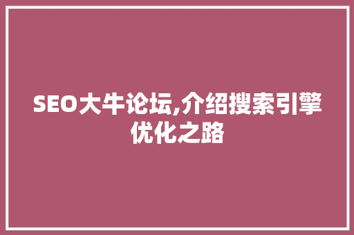 SEO大牛论坛,介绍搜索引擎优化之路