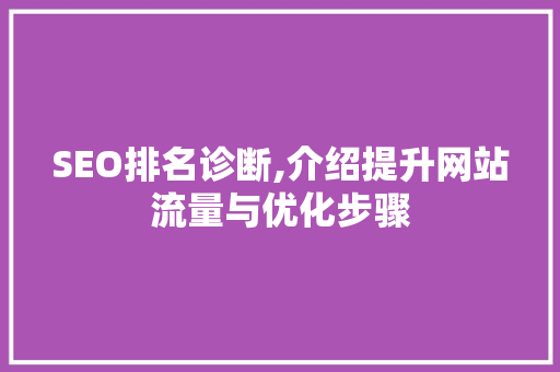 SEO排名诊断,介绍提升网站流量与优化步骤 SEO关键词