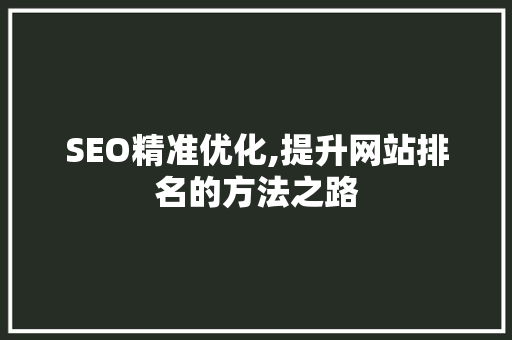 SEO精准优化,提升网站排名的方法之路