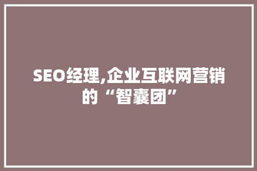SEO经理,企业互联网营销的“智囊团”