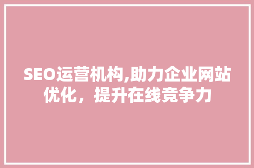 SEO运营机构,助力企业网站优化，提升在线竞争力
