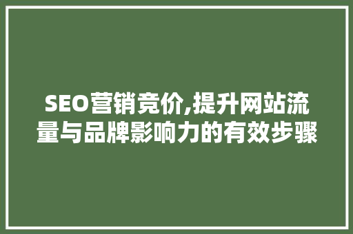 SEO营销竞价,提升网站流量与品牌影响力的有效步骤 搜狗SEO