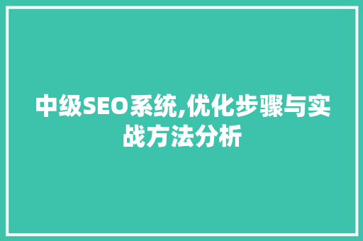 中级SEO系统,优化步骤与实战方法分析