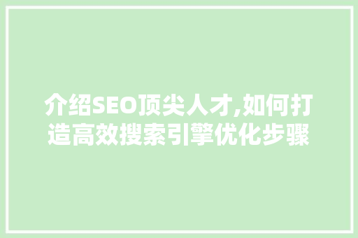 介绍SEO顶尖人才,如何打造高效搜索引擎优化步骤