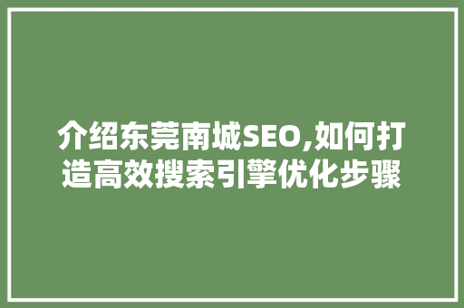 介绍东莞南城SEO,如何打造高效搜索引擎优化步骤 SEO关键词