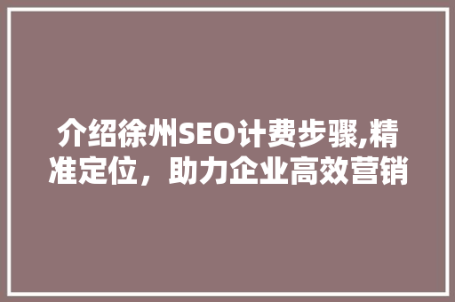 介绍徐州SEO计费步骤,精准定位，助力企业高效营销