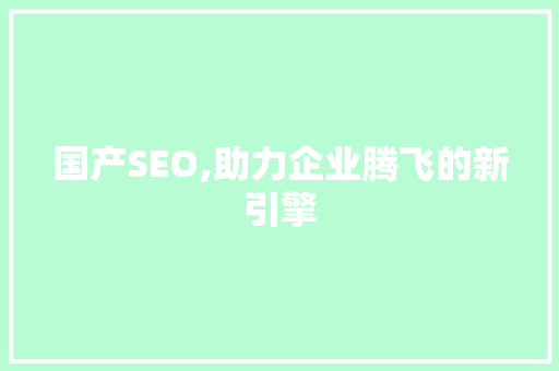 国产SEO,助力企业腾飞的新引擎